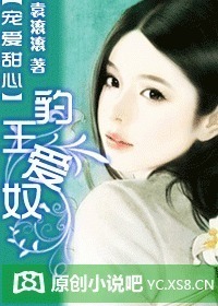 天道之殇